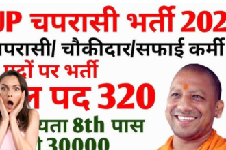 Chaprasi Bharti 2024